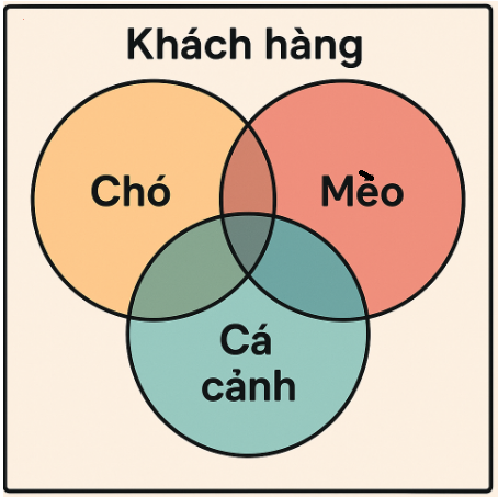 Hình minh họa câu hỏi
